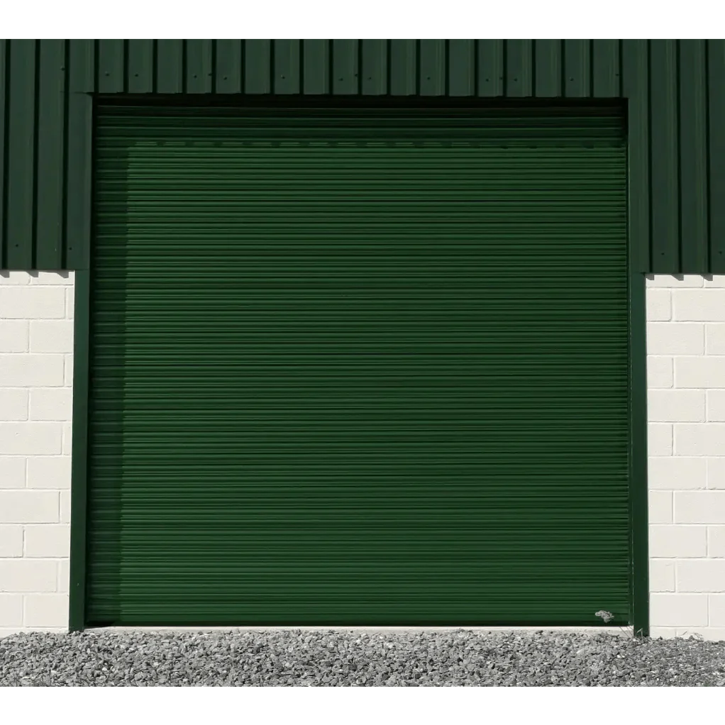 Commercial Steel Roller Shutter (Electric)
