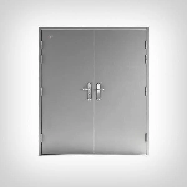 Double Steel Security Door