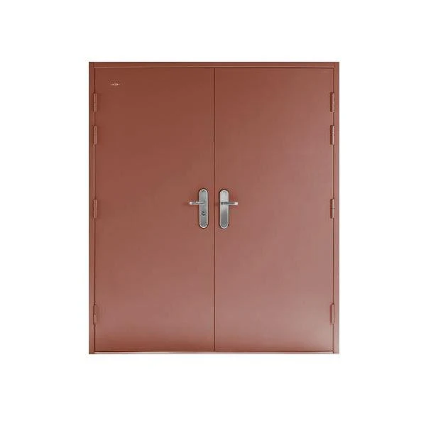Double Steel Security Door